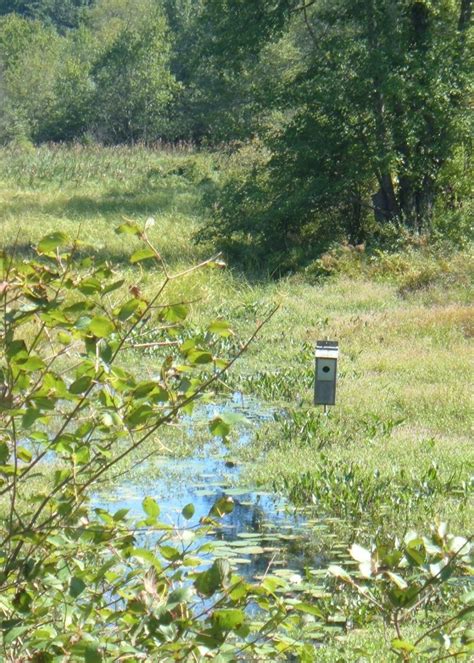 Wood Duck Nest Box Plans: How To Build A Wood Duck Nesting Box | HubPages