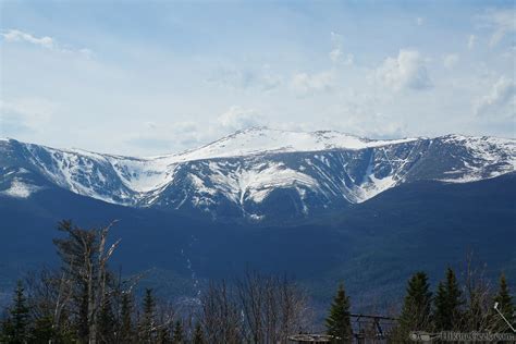 NH 48 4000 Footers: Wildcat Mountain D via Polecat Ski Trail - Gorham, NH (May 2, 2018) - Hiking ...