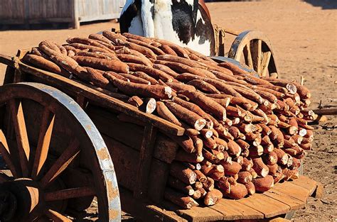 The Biggest Industries In Madagascar - WorldAtlas.com