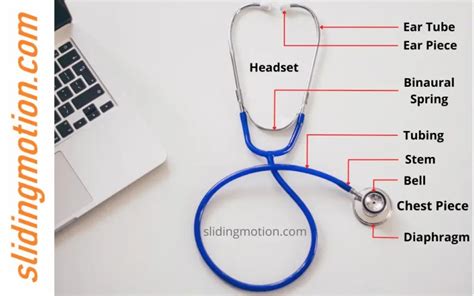 8 Stethoscope Parts Guide: Learn Anatomy, Functions & Diagram