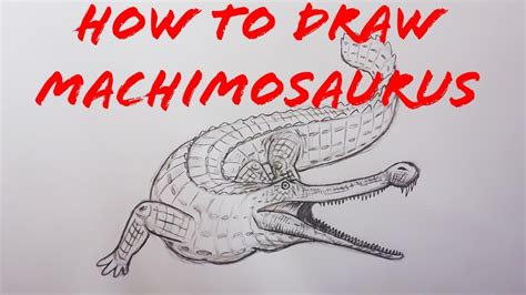 How to Draw Machimosaurus part1 - YouTube