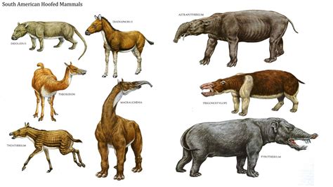 Mammal diversity exploded immediately after dinosaur extinction | Amazing Science | Extinct ...