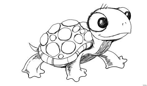 Cartoon Drawing Of Turtle at PaintingValley.com | Explore collection of Cartoon Drawing Of Turtle