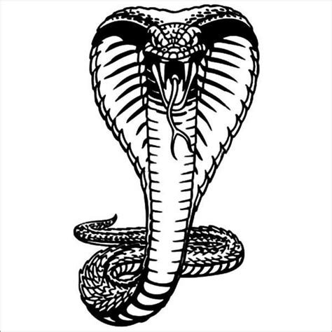 King Cobra Snake Coloring Page - ColoringBay