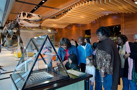 6 Hands-On Science Museums for Curious Kids - MiniTime