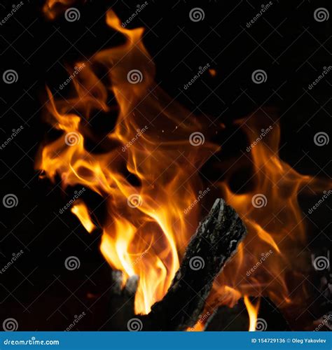 Fire Flames in Bonfire Stove Stock Photo - Image of balck, closeup: 154729136