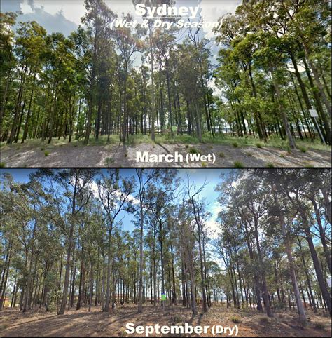 Sydney during the wet season and dry season (vegetation difference in the same place) : r/sydney