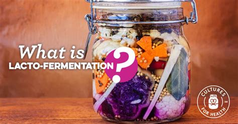 Lacto Fermentation | What is Lactobacillus Fermentation? - Cultures For Health | Probiotica