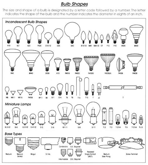 Bulb shapes | How to make light, Bulb, New home checklist