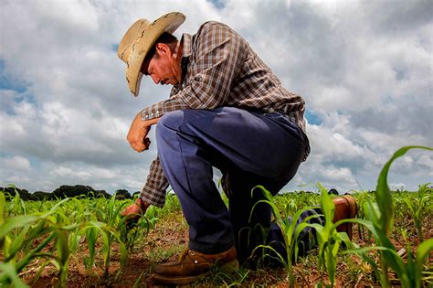 Sagarpa apoyará a pequeños productores