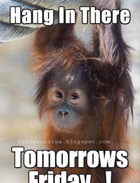 Thursday Memes That Work Day To Make You Smile | Memes.co.in