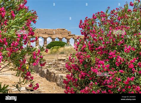 Castelvetrano, Sicily, Italy - July 11, 2020: Ruins in Selinunte ...