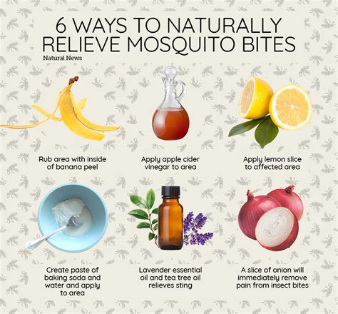 Six ways to naturally relieve mosquito bites: | Remedies for mosquito ...