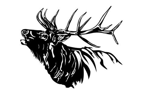 DEER ELK Vector Graphic by chinc1931 · Creative Fabrica