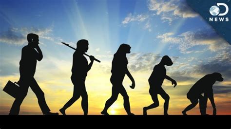 Is It Possible For Evolution To Reverse? - HIGH T3CH