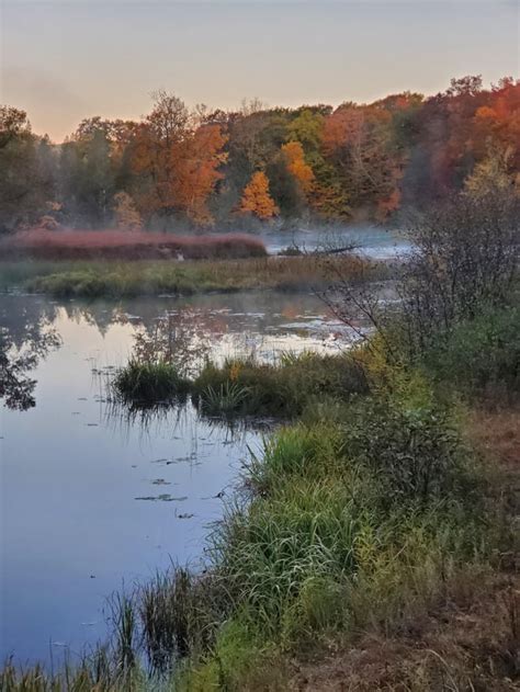 Manistee River, manistee National forest : r/camping