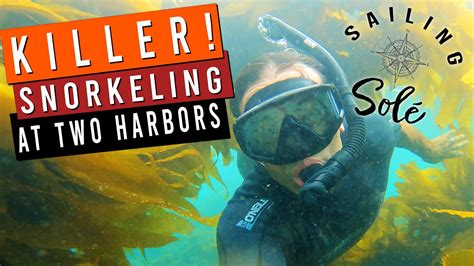 EP19 - KILLER! Snorkeling at TWO HARBORS | Solo Sailing CATALINA - YouTube