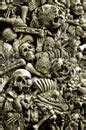 Image of plastic halloween skulls | CreepyHalloweenImages