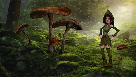 Download Mushrooms, Forest, Fairy. Royalty-Free Stock Illustration Image - Pixabay