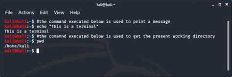 Kali Linux - Terminal and Shell - GeeksforGeeks