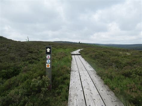 Survey launched to enhance the visitor experience in the Slieve Bloom ...