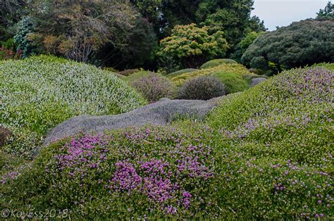 Garden Visit: Mendocino Coast Botanical Garden | Central Valley Builders