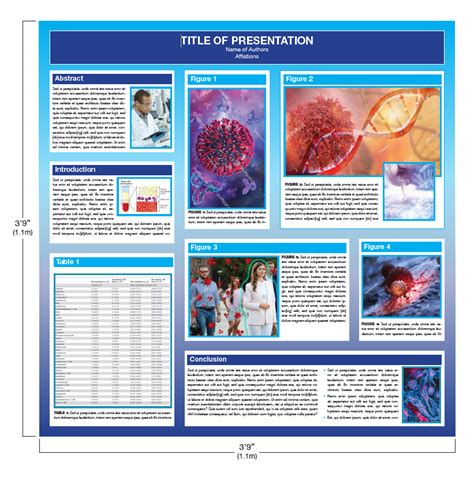 Poster Presentations Template