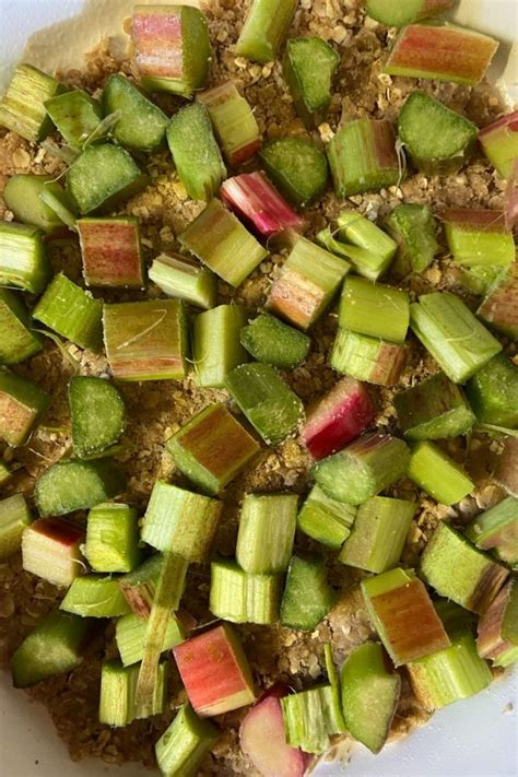 Rhubarb Crumble with Oats Recipe - These Old Cookbooks