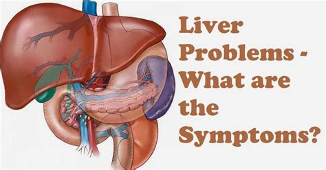 An organ which is located in the right upper quadrant of the abdomen and id secured by the ribs ...