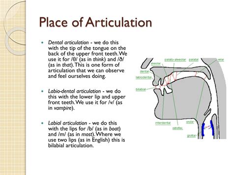 PPT - PHONOLOGY PowerPoint Presentation, free download - ID:1921696