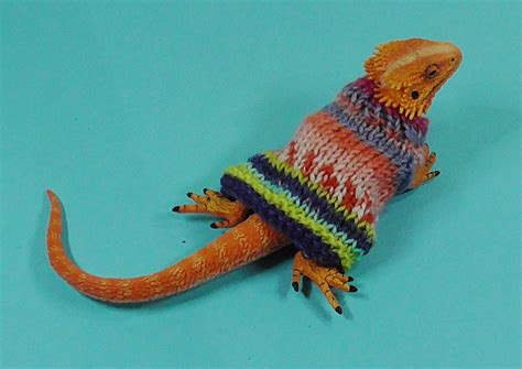 BEARDED DRAGON SWEATERS - Etsy