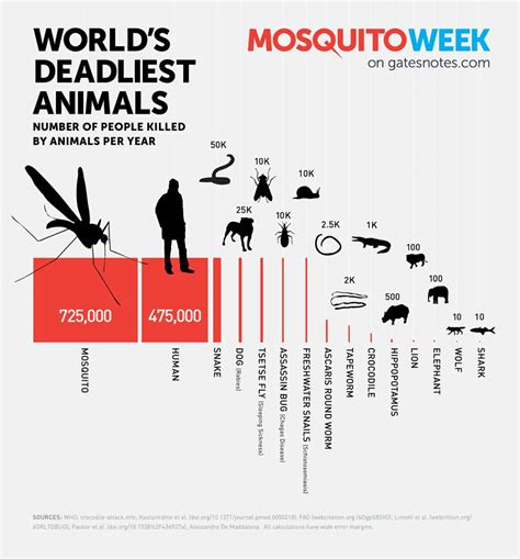 Number of People Killed by Animals Each Year - Montana Hunting and ...