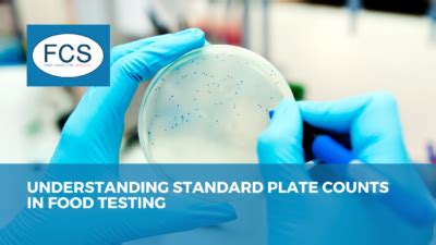 Understanding Standard Plate Counts in Food Testing - Food Consulting ...