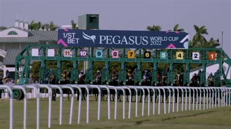 Pegasus Preview: Place your bets this weekend at the Pegasus World Cup ...