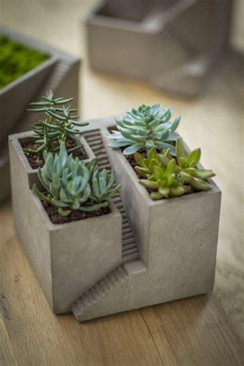 Concrete Planter Ideas To Get The Contemporary Look In Your Home