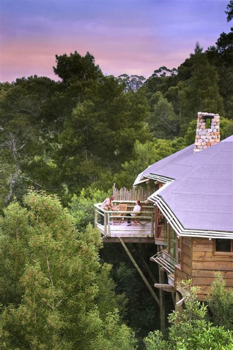 Tsala Treetop Lodge | Glamping Getaway