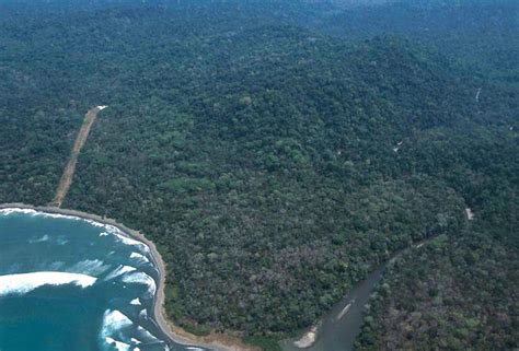 Corcovado National Park - The Most Biologically Intense Place on Earth