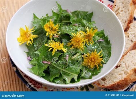 Salad of dandelion stock photo. Image of dandelion, vegetarian - 115222990