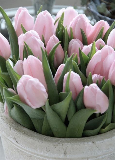 423 best images about Tulip Wedding on Pinterest | Purple tulips, Tulip and Tulip bouquet