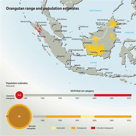 Orangutan range and population estimates | GRID-Arendal