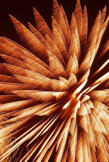 Fireworks Photography – All Digital Photography