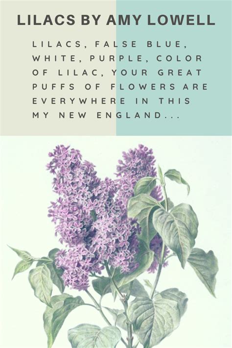 Lilacs by Amy Lowell (1922) — the poet's own favorite | Amy lowell, Lilac, Women poetry