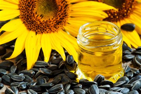 Organic Sunflower Seed Oil, Cold Pressed | Truly Organics