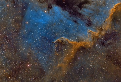 The Cygnus Wall - Part of the North America Nebula (NGC 7000) - Sky & Telescope - Sky & Telescope