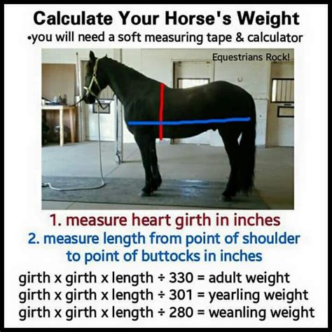 Weight Chart For Horses