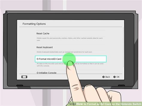 How to Format an SD Card on the Nintendo Switch: 8 Steps