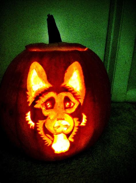 German Shepard pumpkin carving | Pumpkin carving, Halloween pumpkins carvings, Pumpkin carving ...