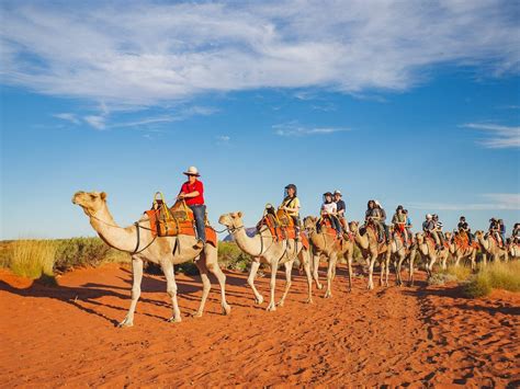 Uluru Camel Tours - All You Need to Know BEFORE You Go (2024)