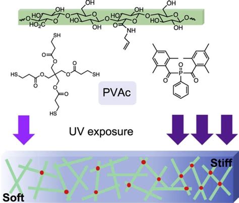 Cellulose Nanocrystal Based Materials | Pritzker School of Molecular ...