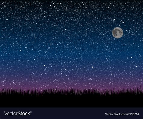 Silhouette grass starry sky eps 10 Royalty Free Vector Image